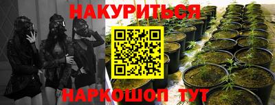 спиды Пенза